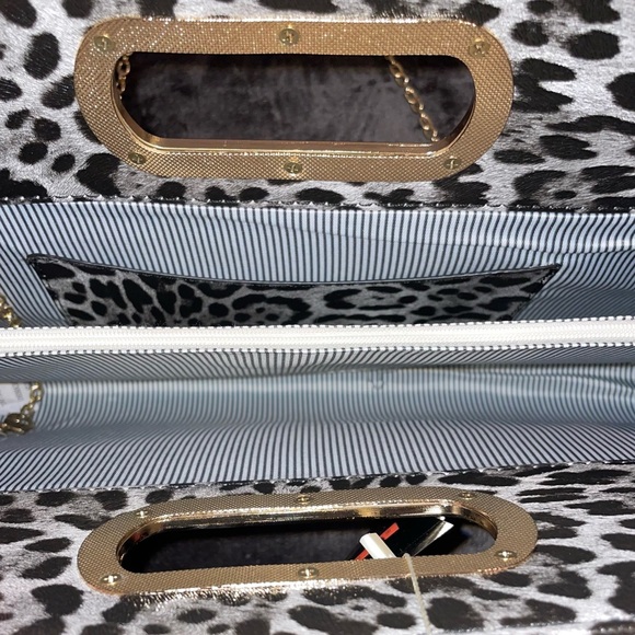 Gray leopard - Picture 10 of 10